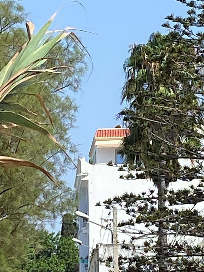 Roof Top Pied Dans L'Eau Panoramic View, 80 Meters From Seaside Hammamet Exterior foto